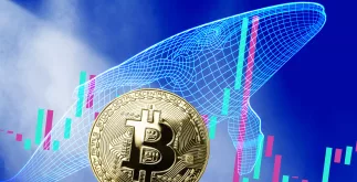 Bitcoin whale verplaatst 49.922 BTC voor slechts 60 cent