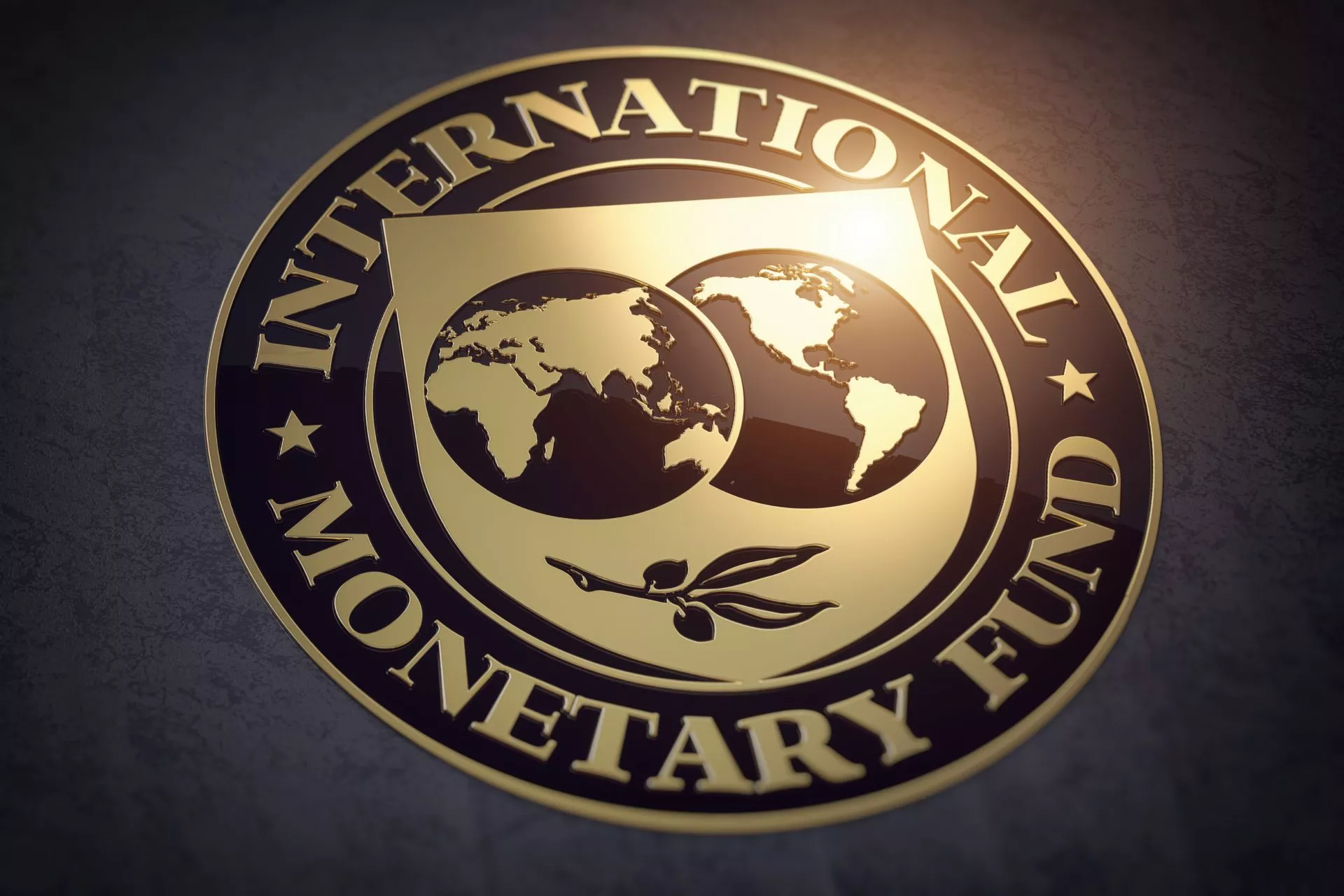 IMF verklaart wereldwijde recessie, 80 landen vragen om hulp