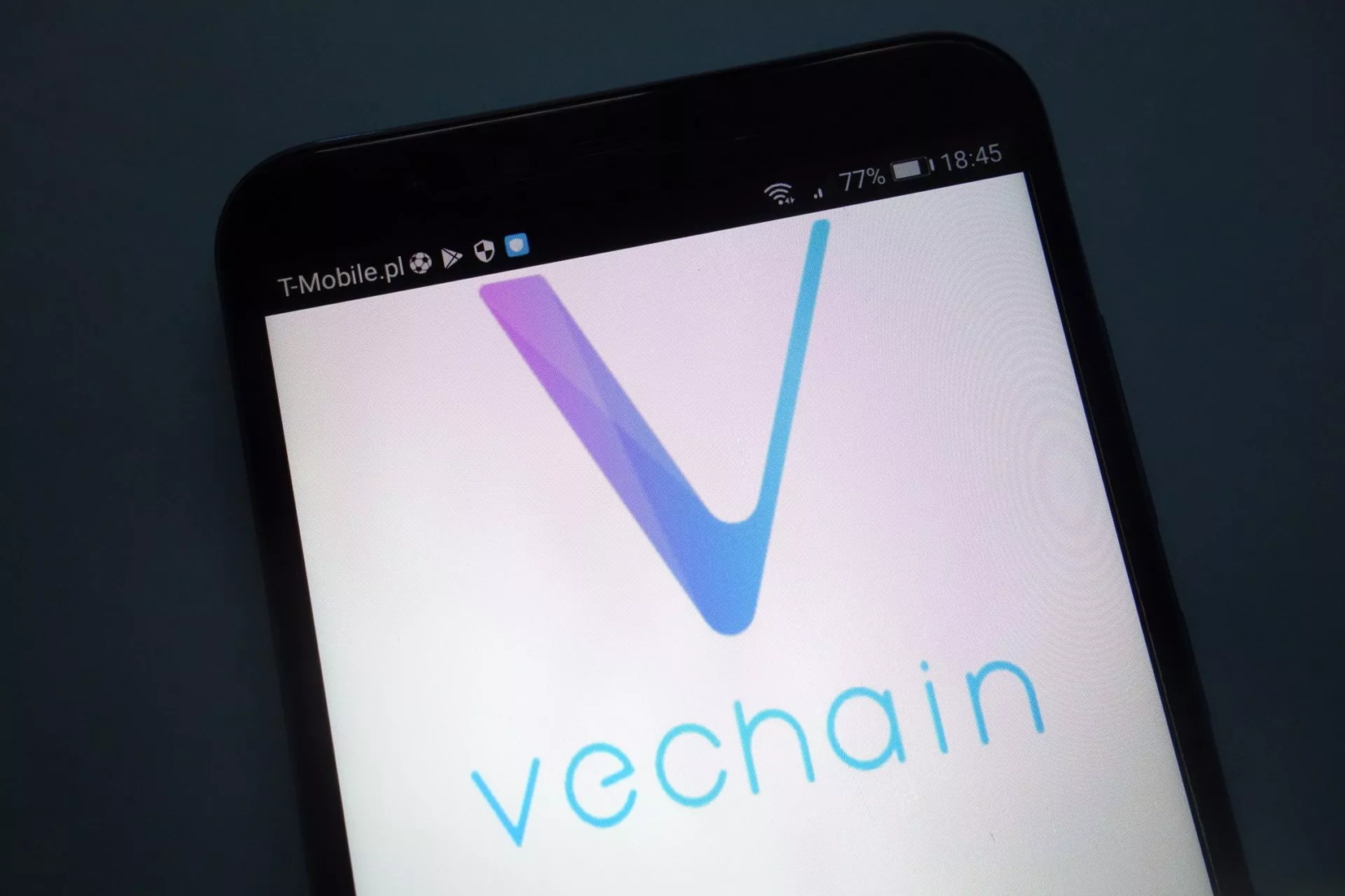 VeChain, Vet