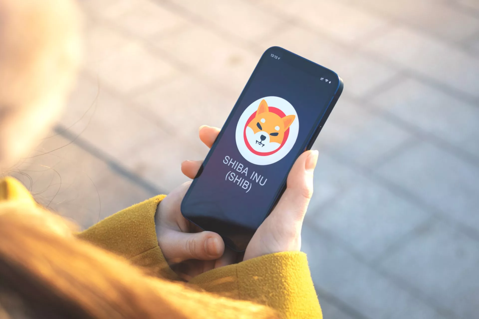 NOWPayments ondersteunt het Shiba Inu Burning initiatief