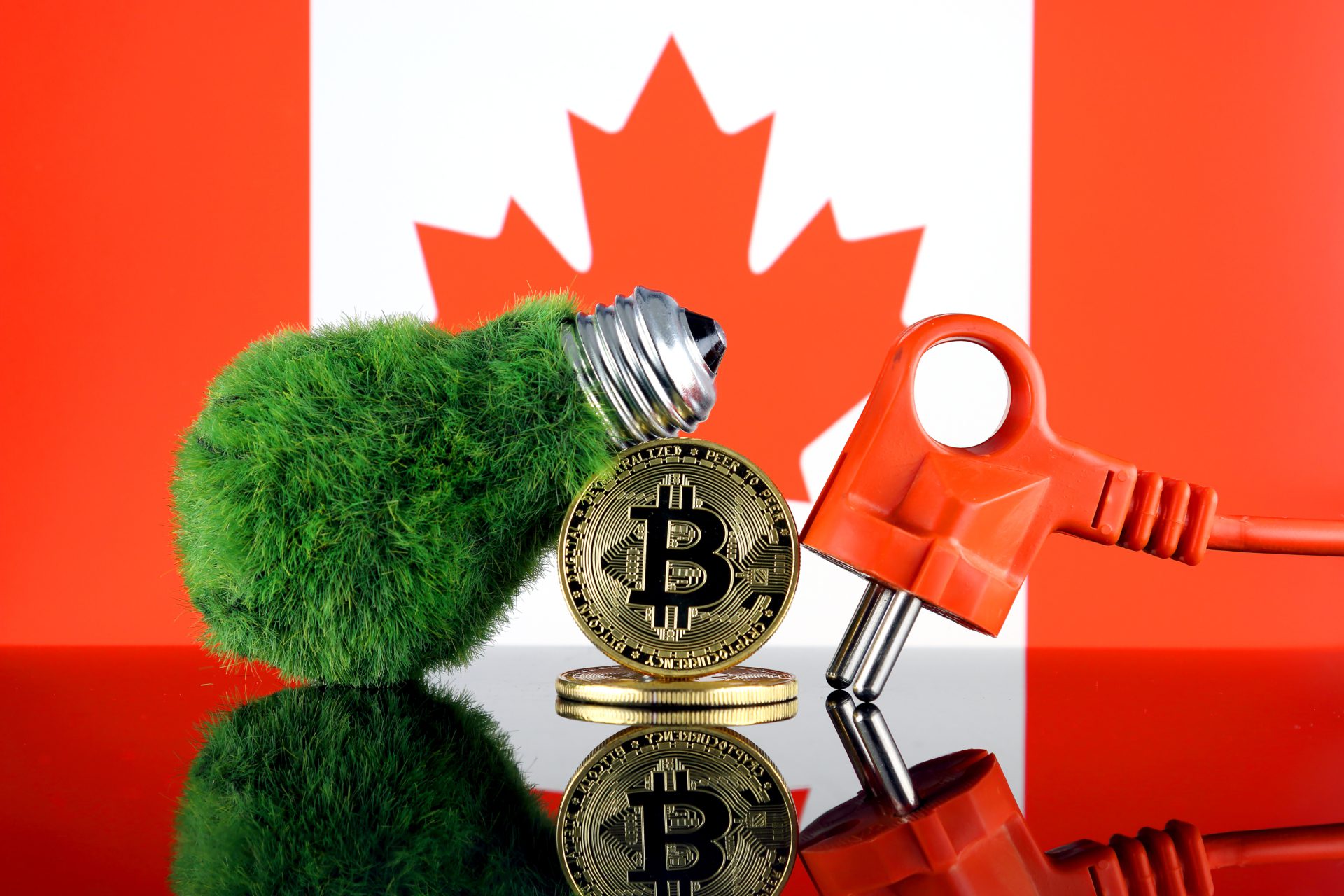 Canada Crypto Etfs