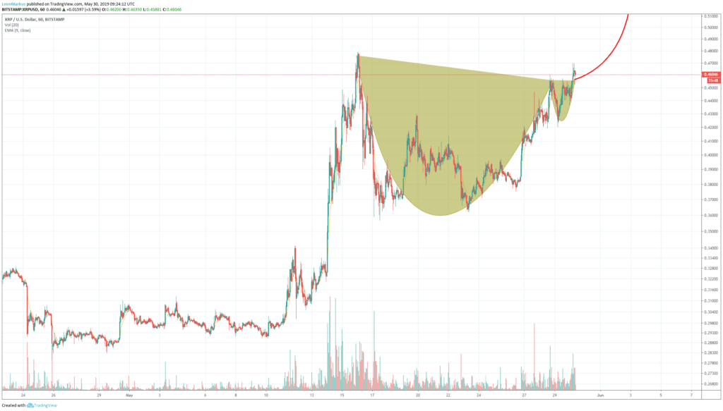 XRP cup and handle
