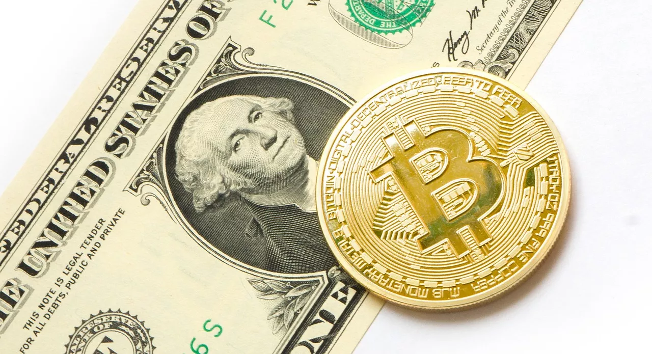 Bitcoin prijs kan doorzakken richting $4.000, volgens Peter Schiff
