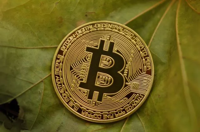 Crypto expert: Koop Bitcoin Voor de Bullrun in 2019!