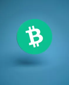 Wat is Bitcoin Cash?