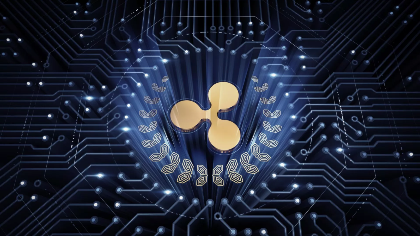 ripple, xrp