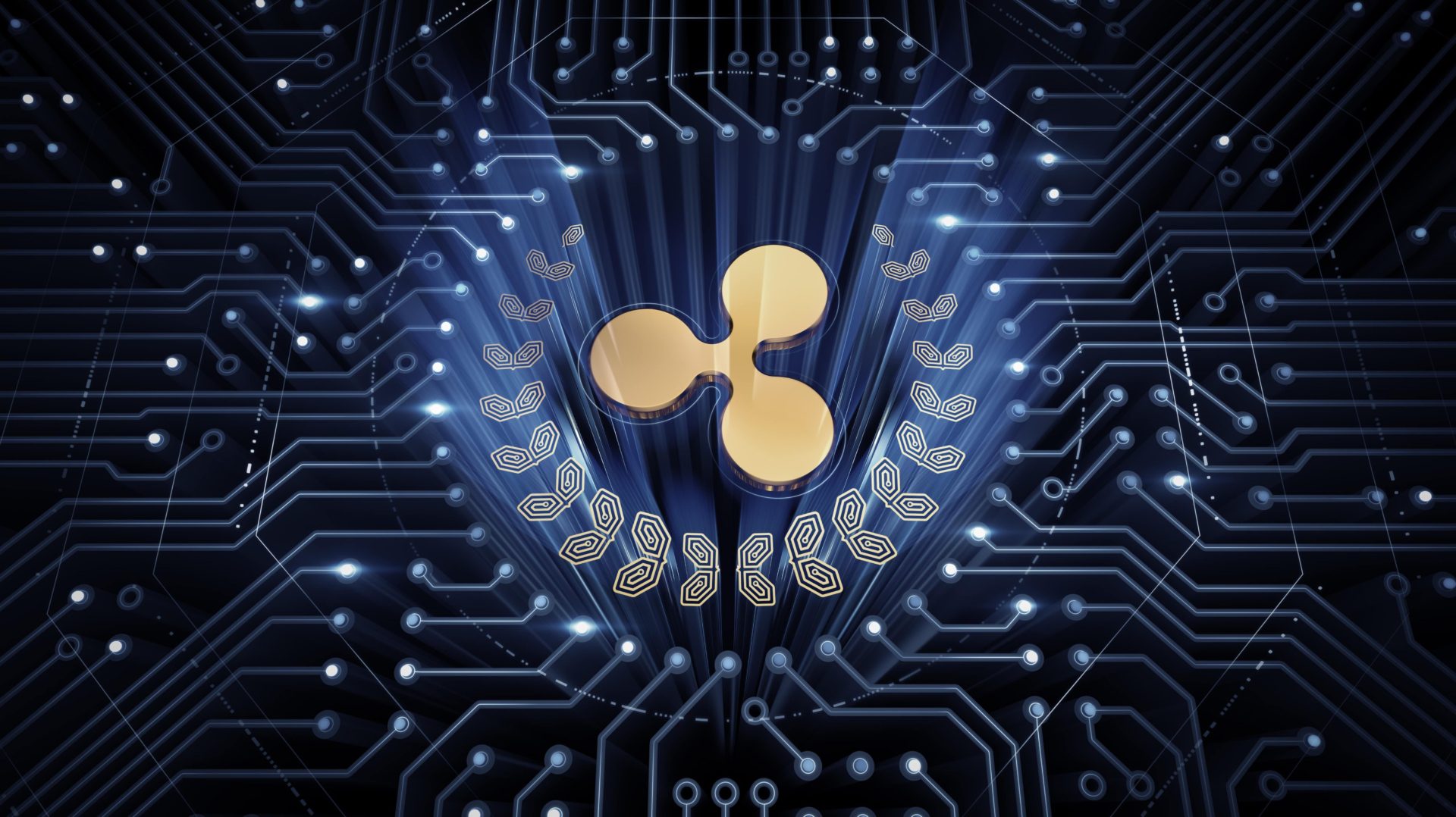 ripple xrp