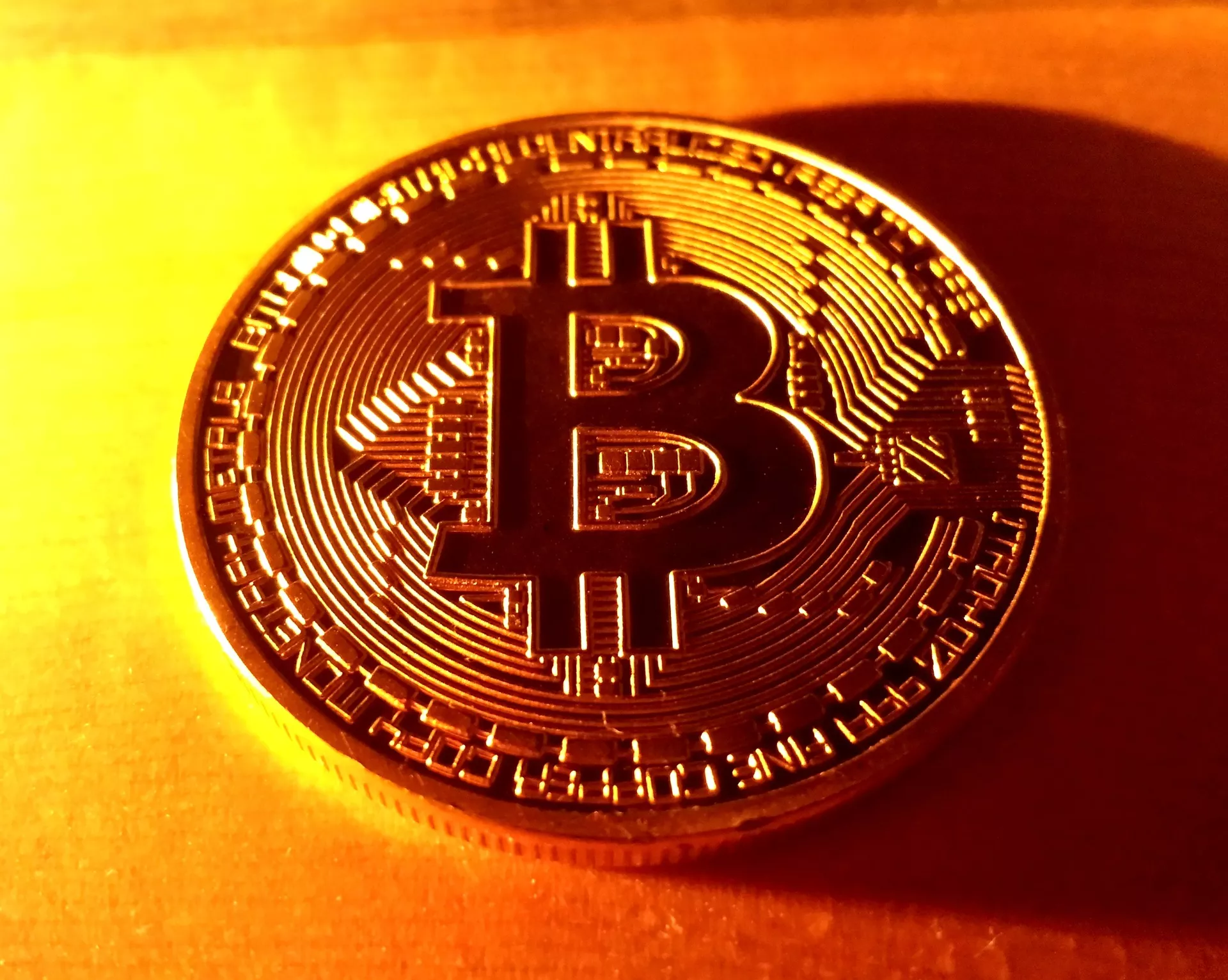 Kim Dotcom gaat eigen Bitcoin-token verkopen op Bitfinex