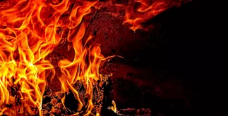 Dit is wat je moet weten over de Shiba Inu burns