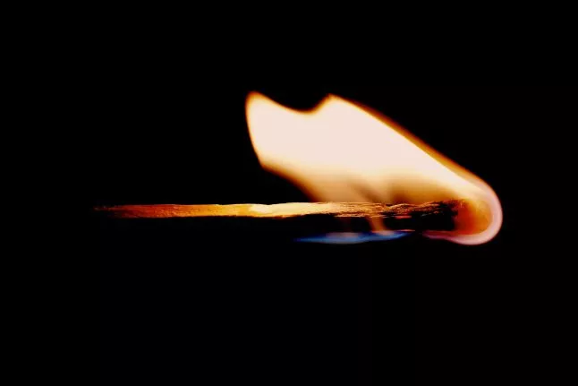 Mysterieuze wallet verbrandt 52 miljoen Shiba Inu