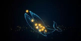 Whales kopen massaal Bitcoin tijdens de dip