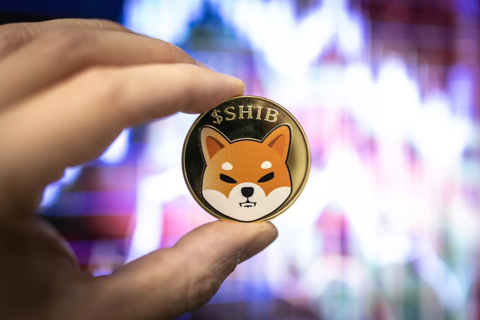 Shiba Inu (SHIB) Coin
