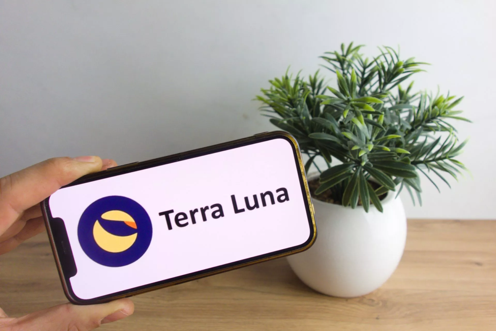 Terra Luna