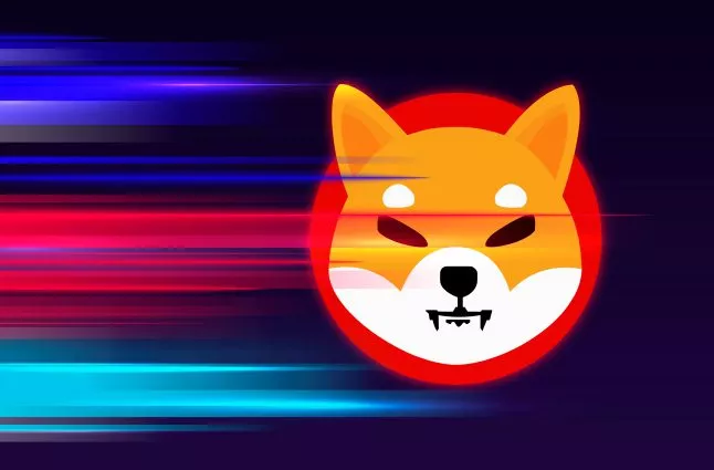 Shiba Inu populair bij crypto exchanges in India