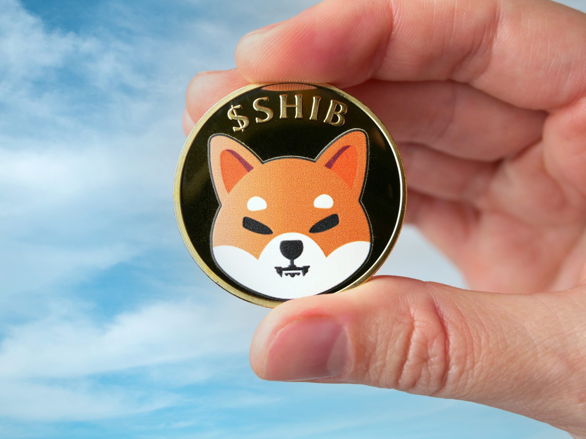 Shiba inu coin, shib