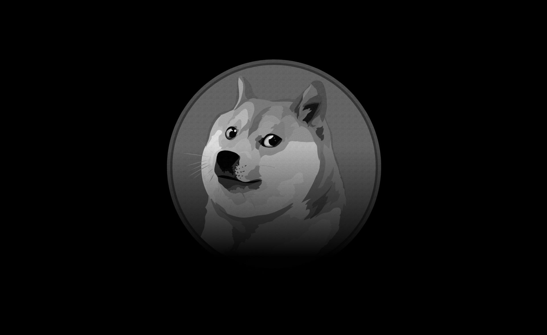 Dogecoin, Doge, dark