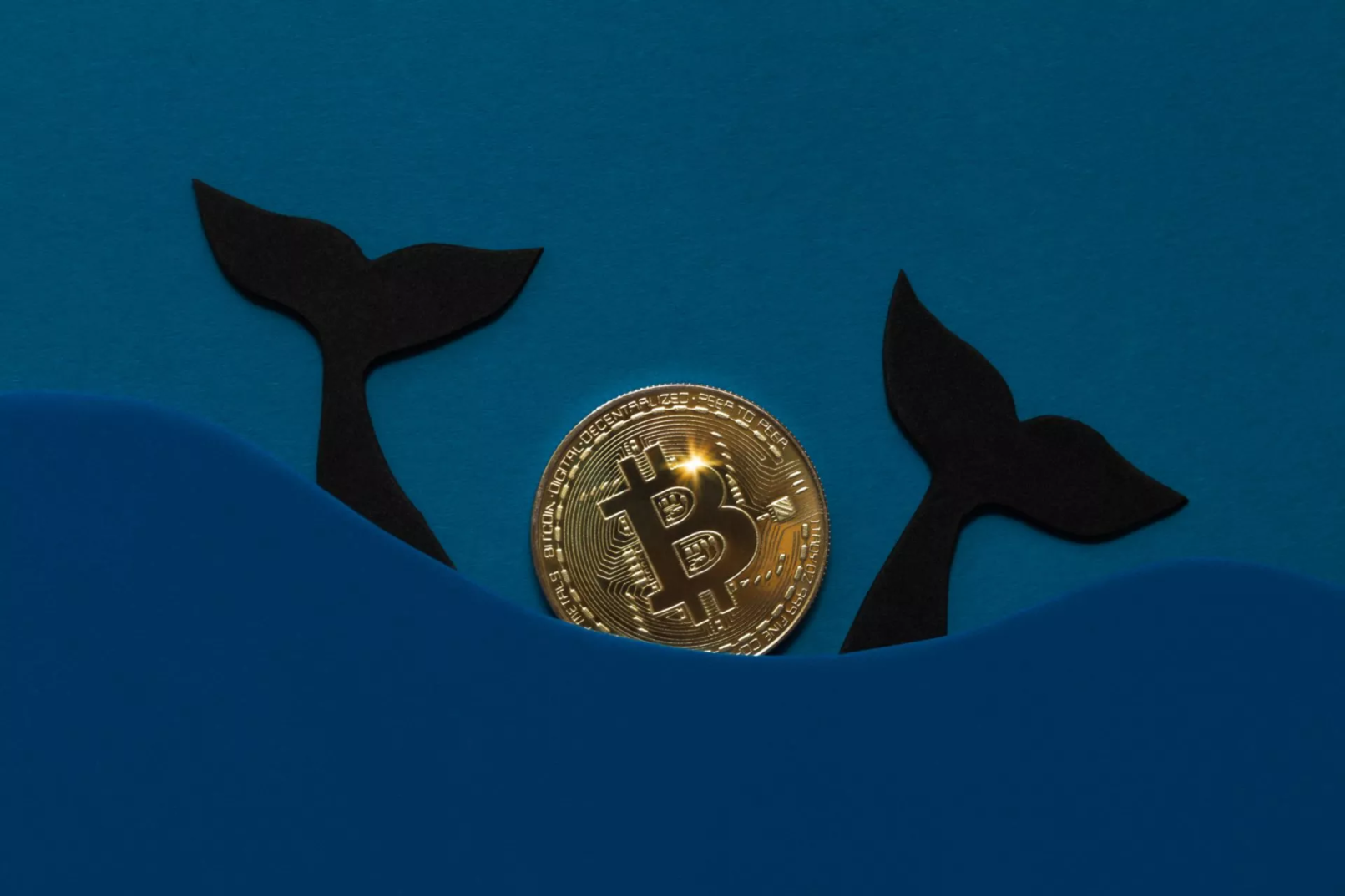 Bitcoin whale
