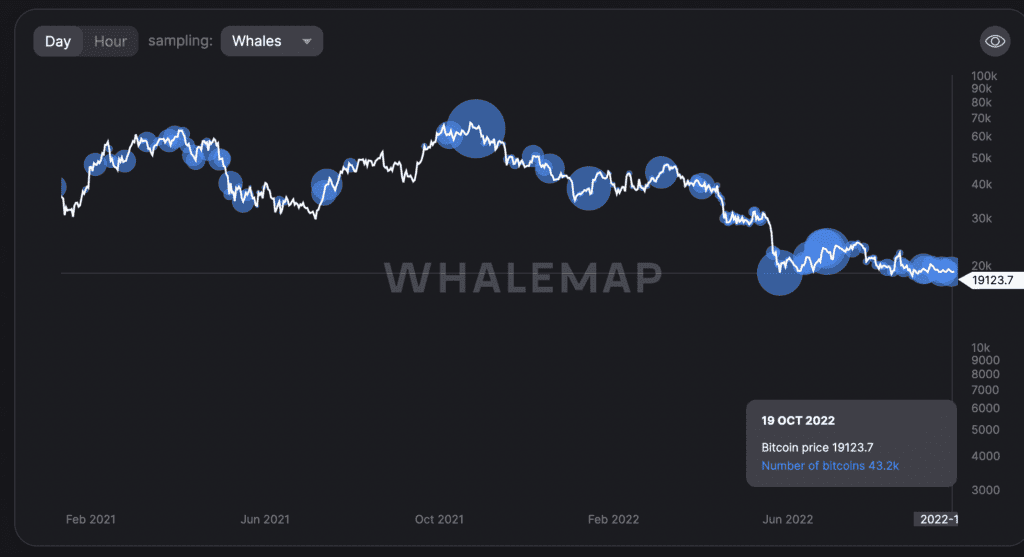 Whalemap