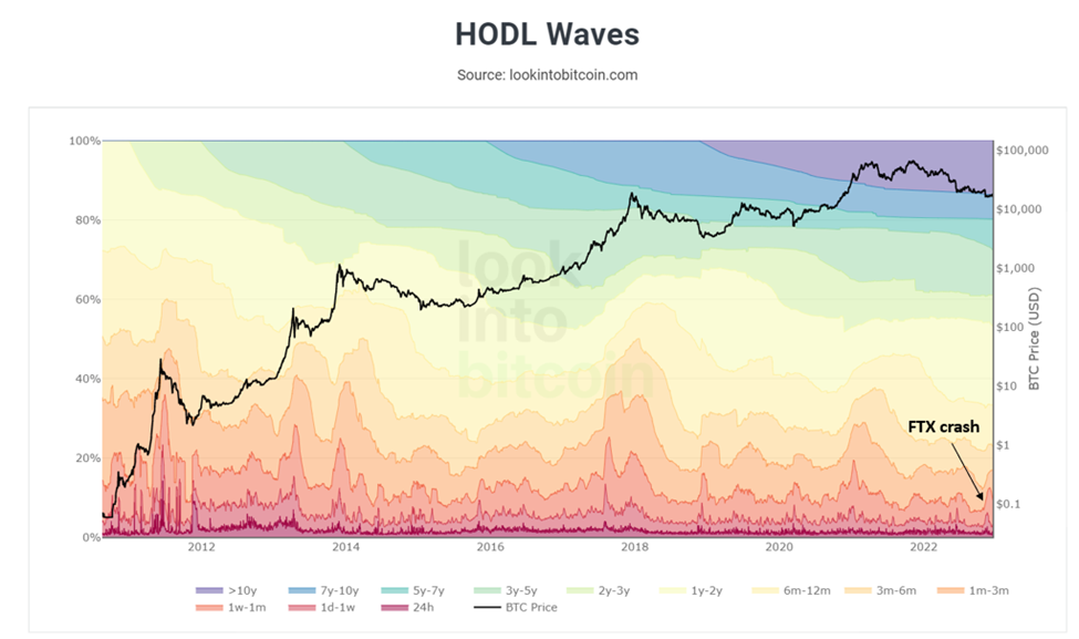 HODL Waves grafiek