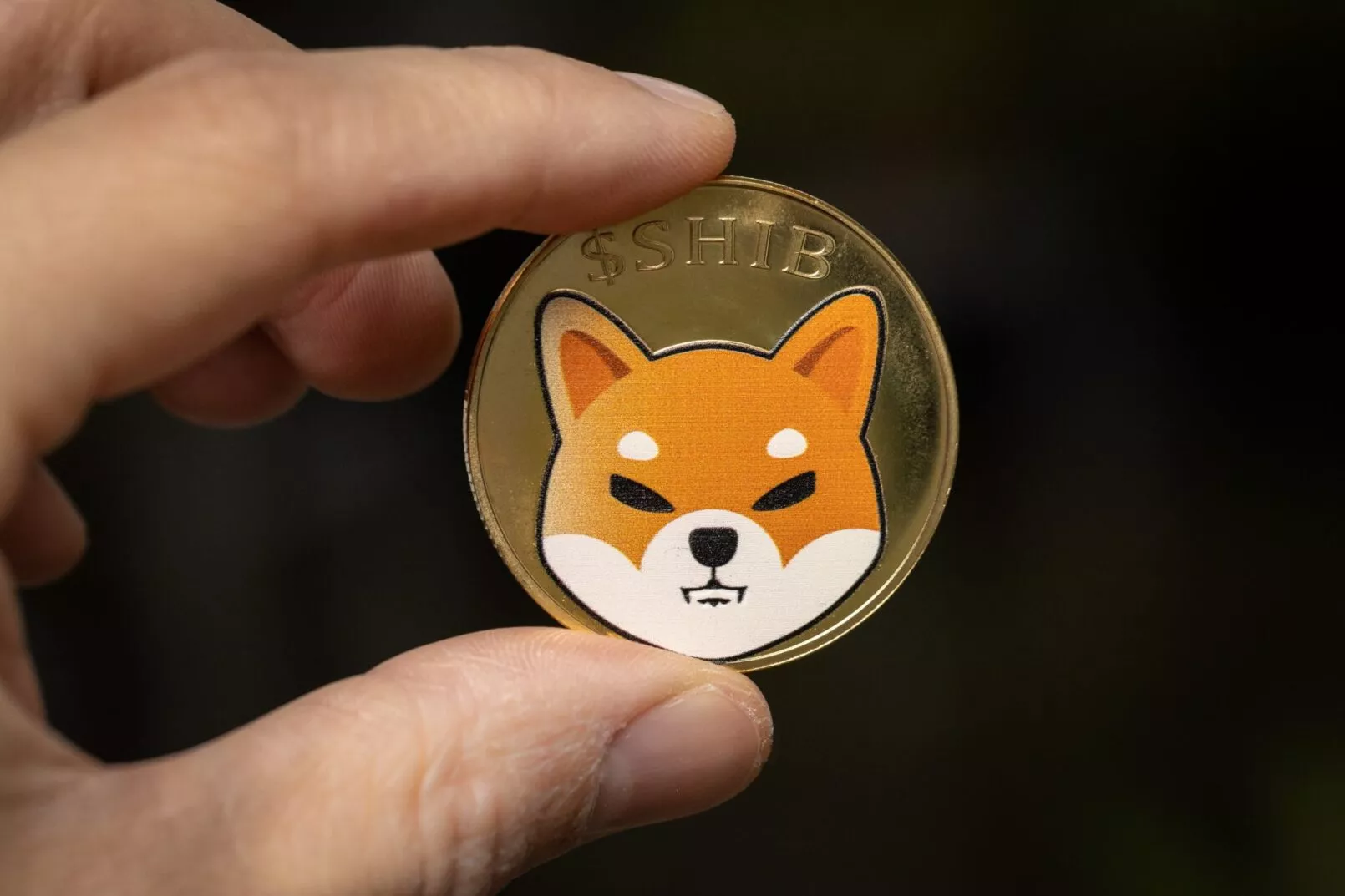 Shiba inu token