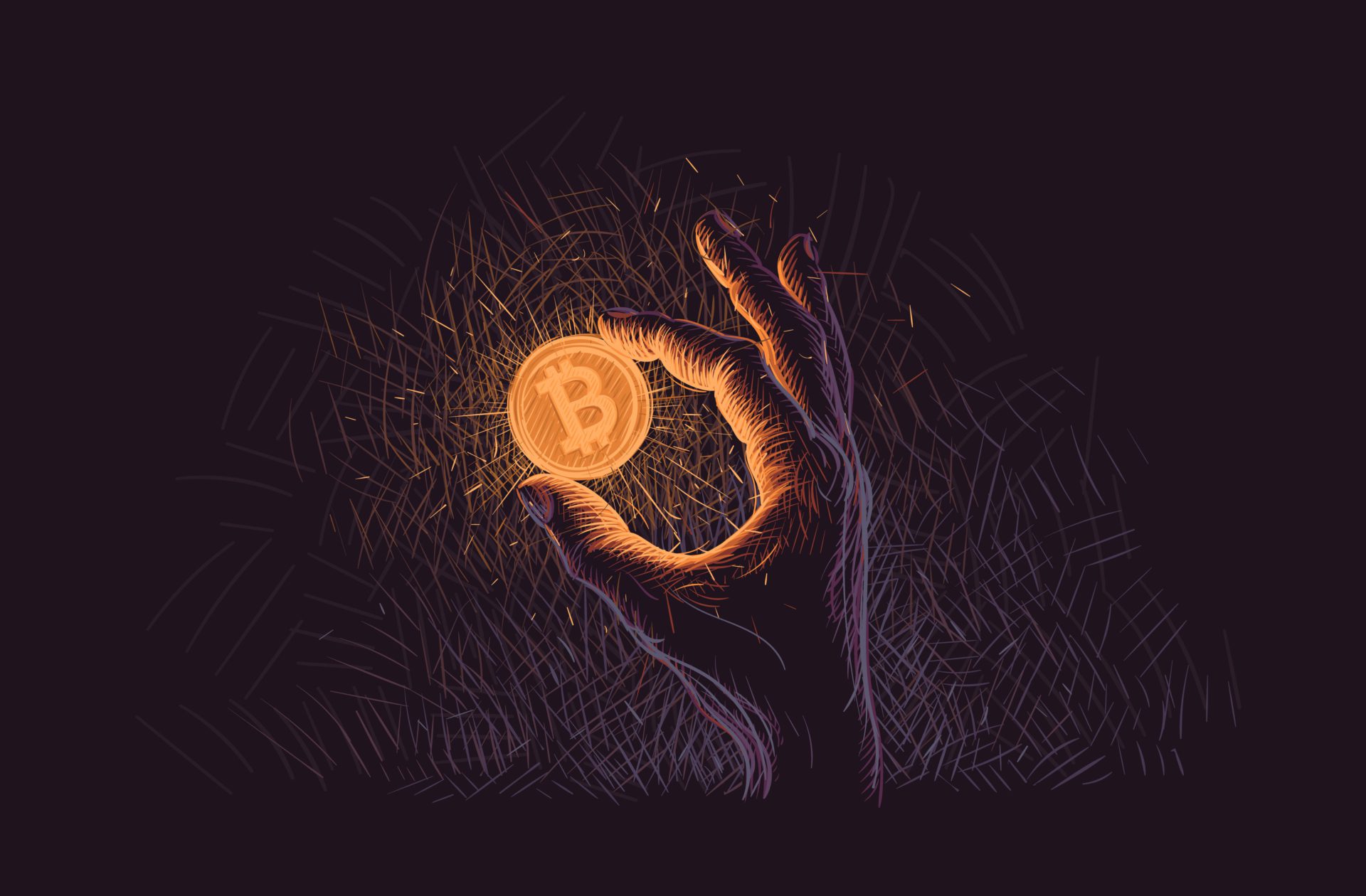 Bitcoin (BTC) in Hand