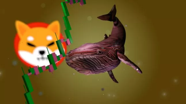 Crypto-whale grijpt 200 miljard Shiba Inu-tokens