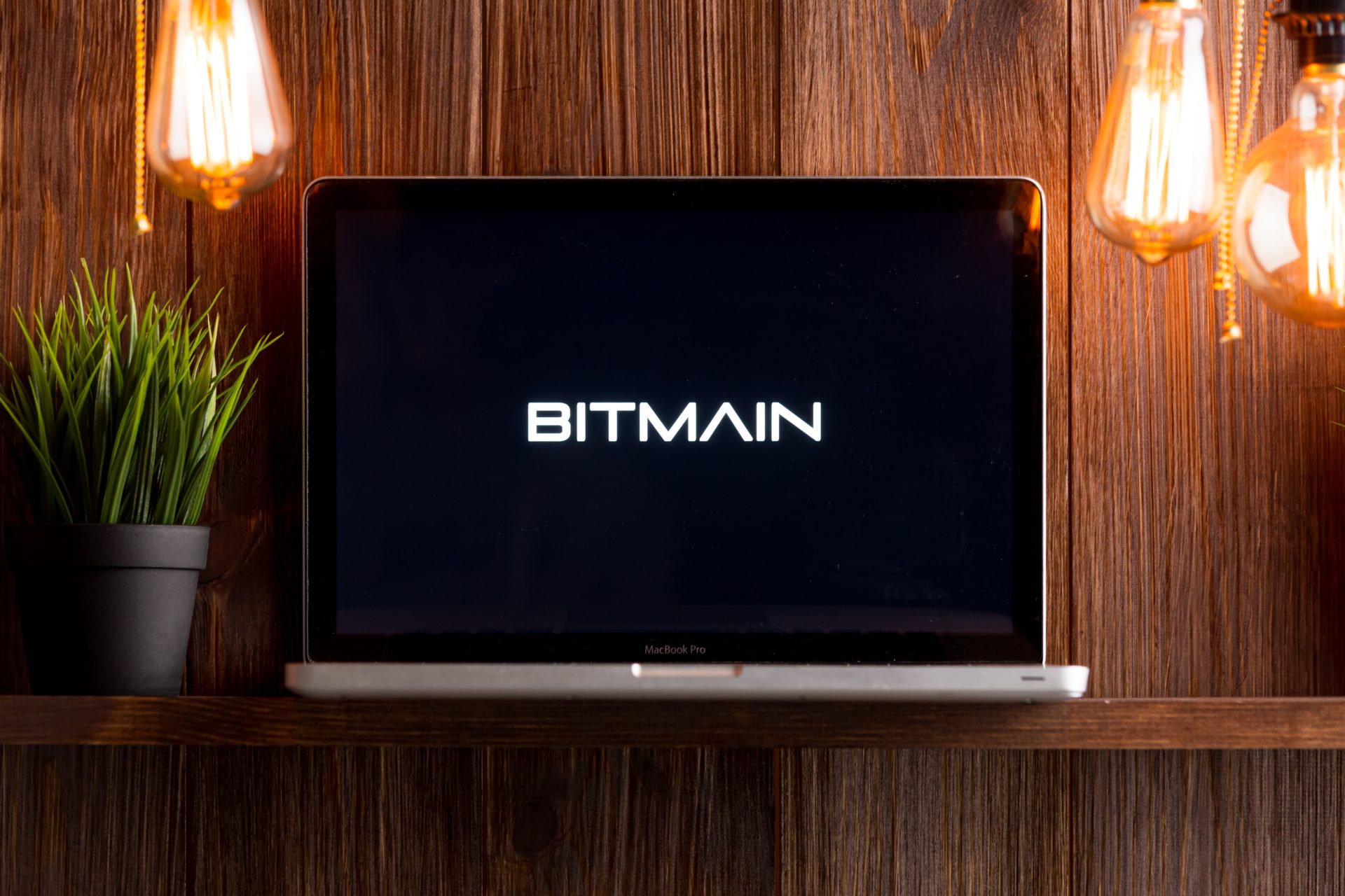 Bitmain Logo