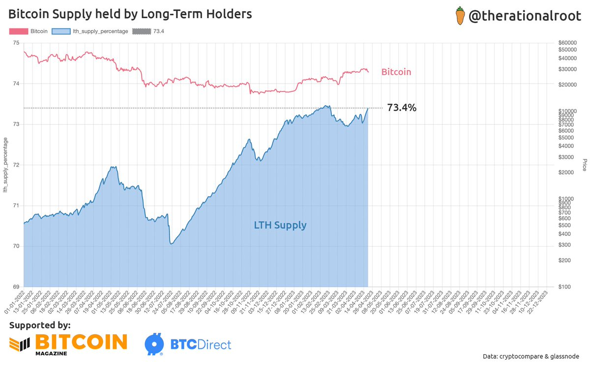lange termijn investeerders bitcoin supply