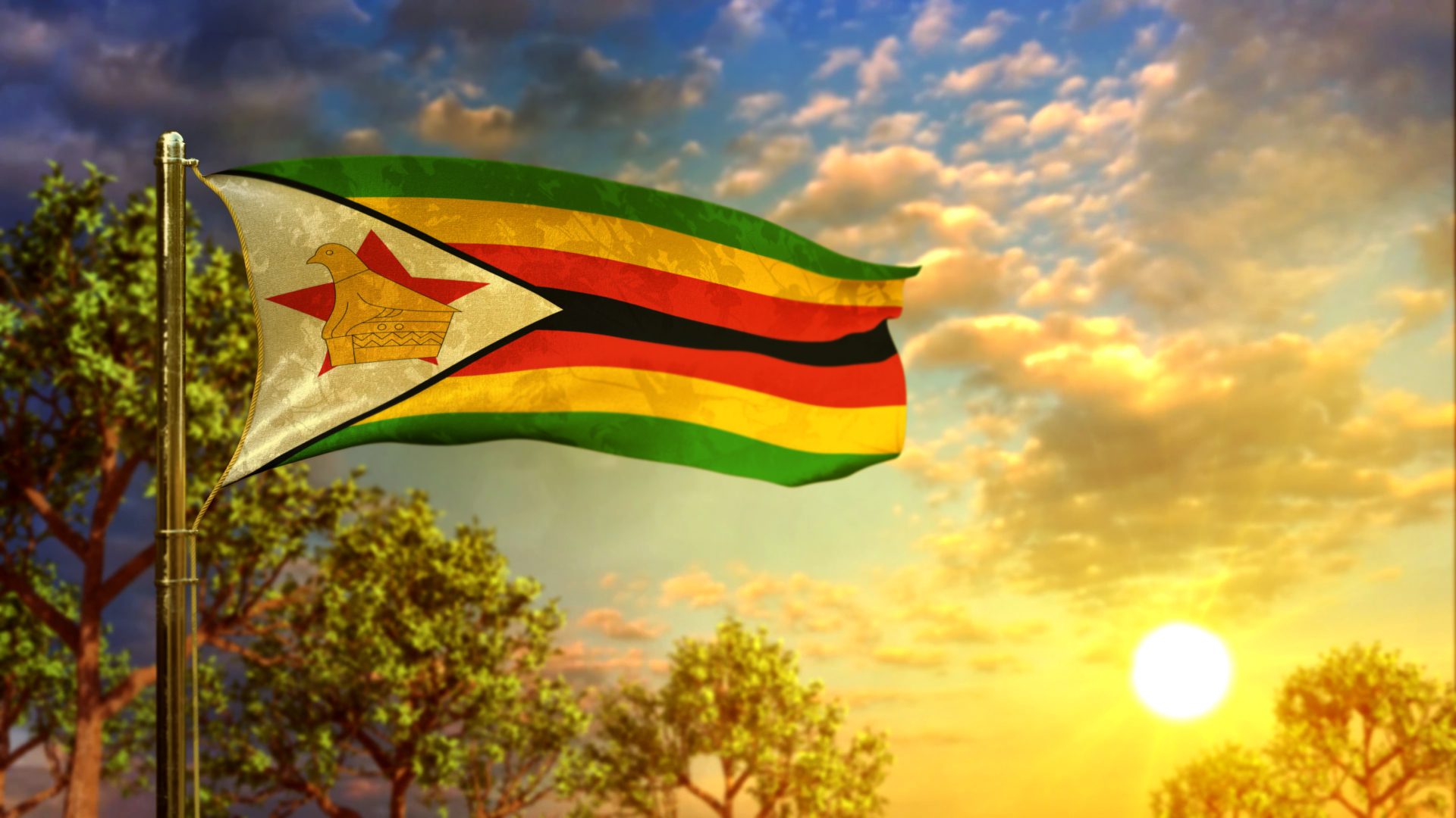 Zimbabwe Waving Vlag