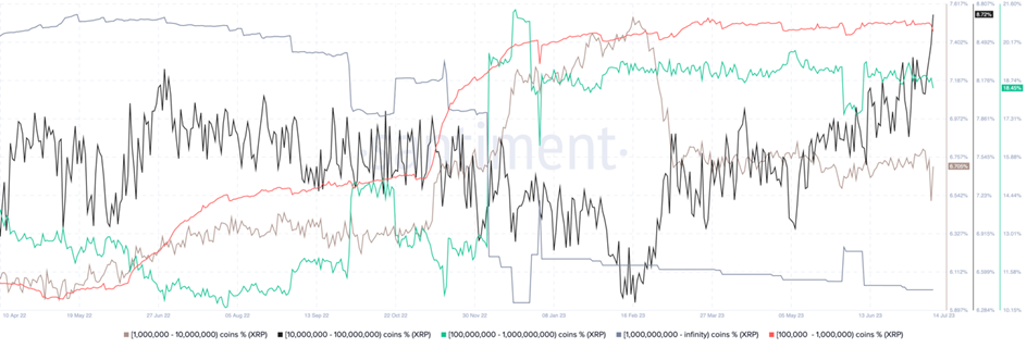 Aandeel XRP in handen van grote investeerders. 