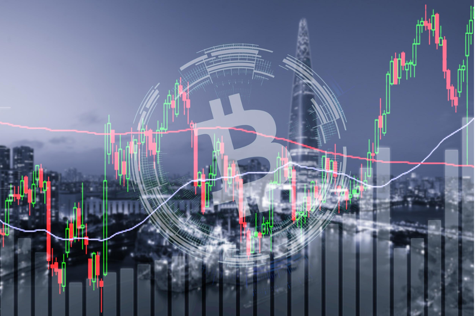 digitoads persbericht 10 augustus