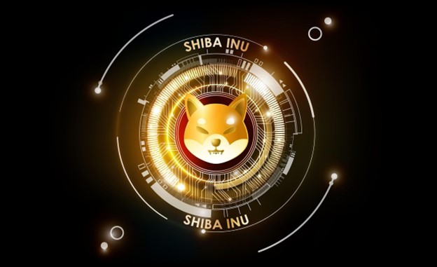 Shiba inu pb zwart