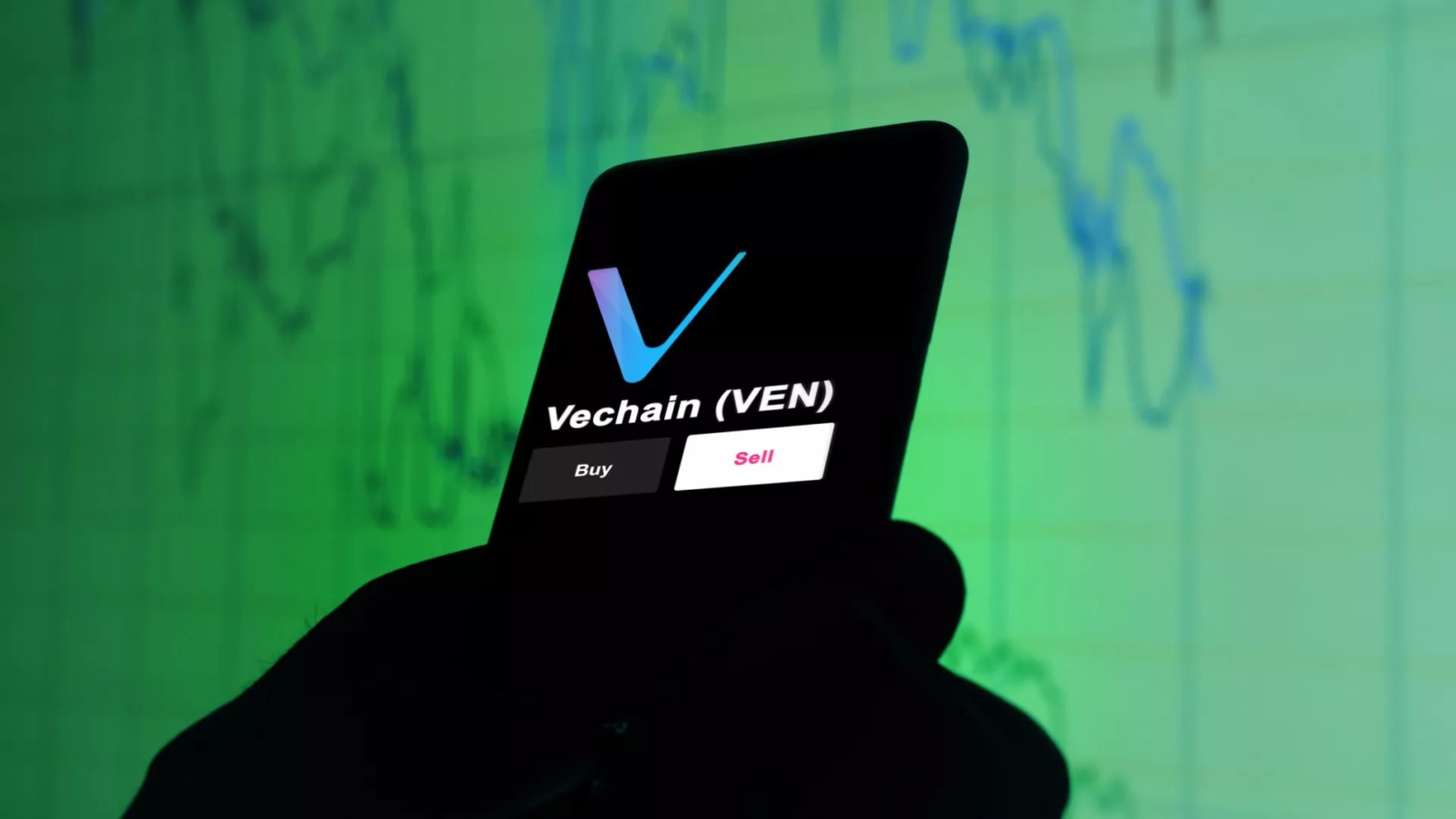 Vechain, vet