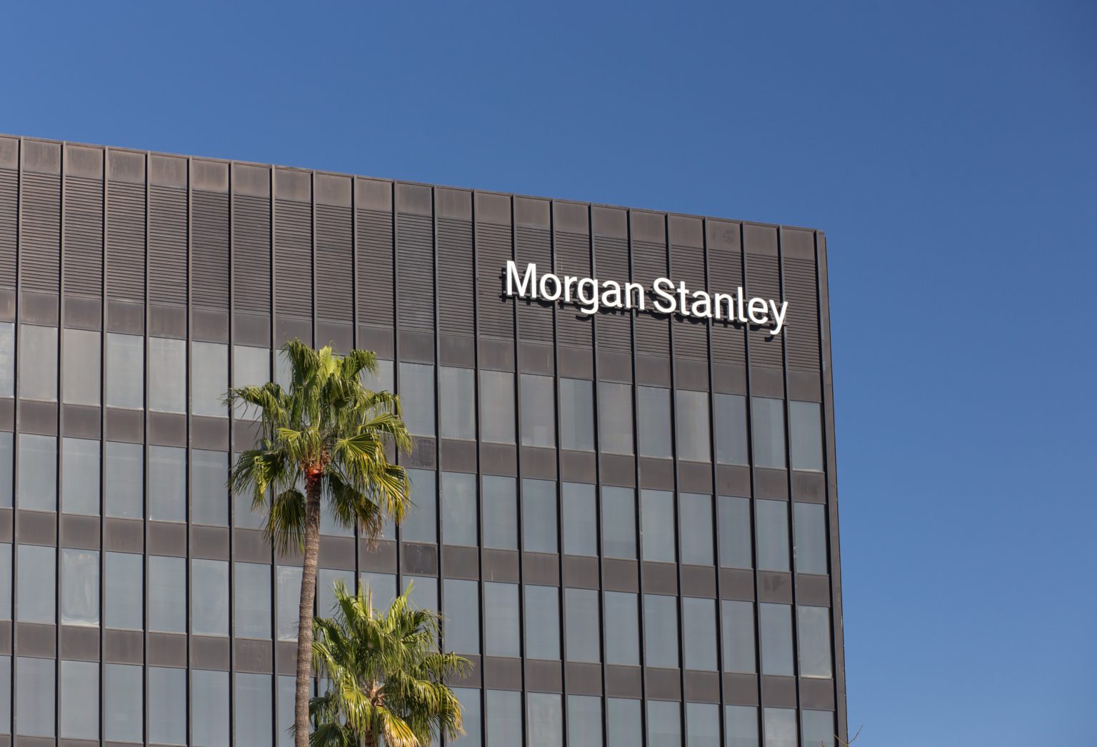Morgan Stanley Logo