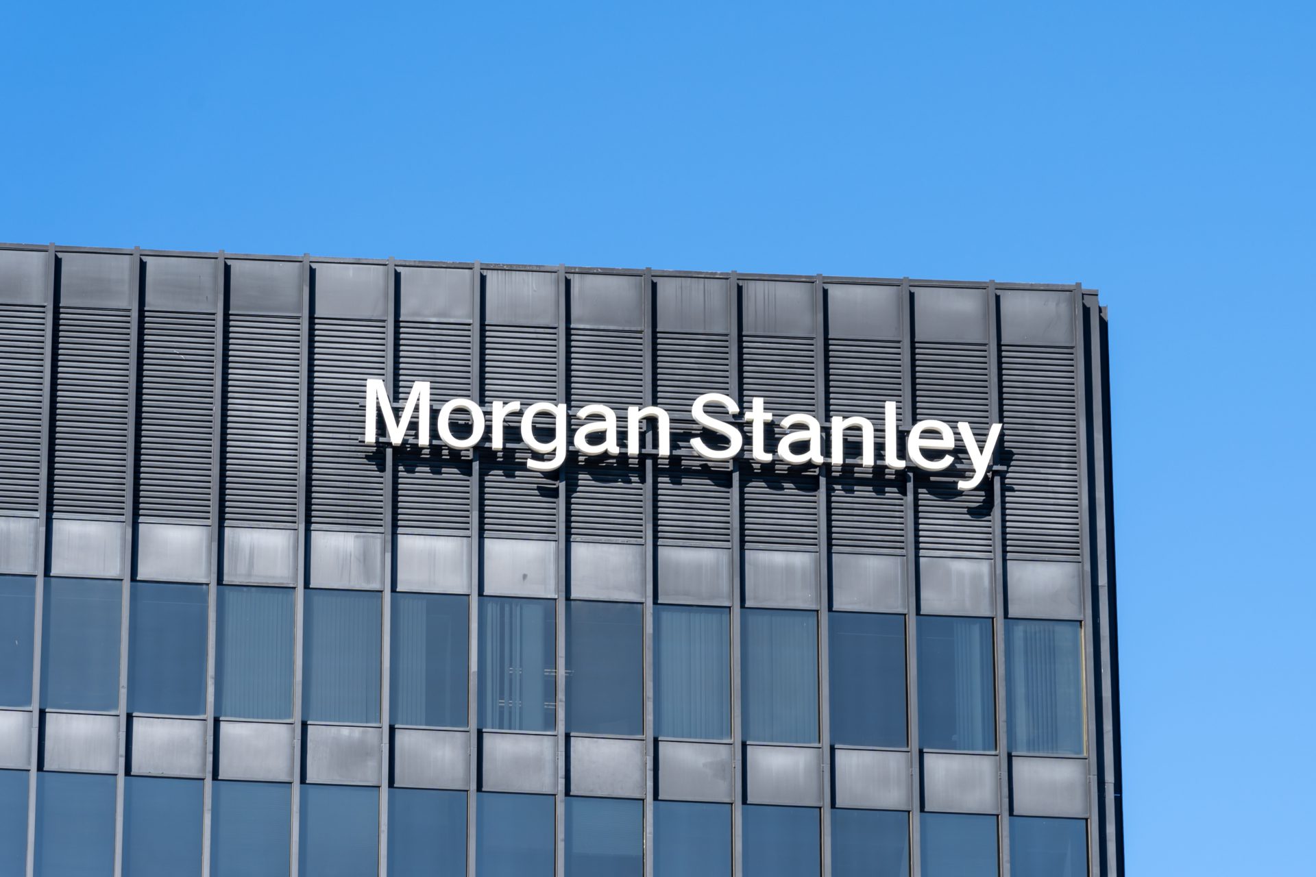 Morgan Stanley Logo