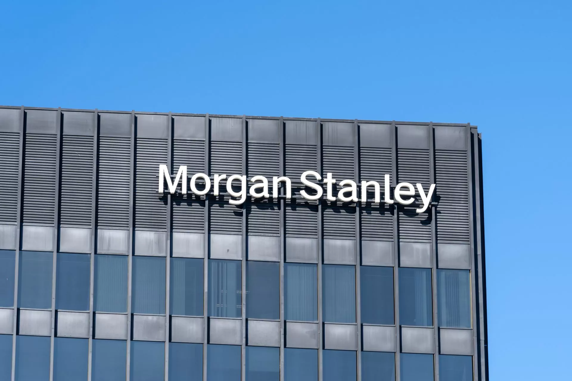 Morgan Stanley Logo