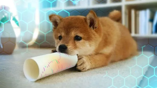 Kan Dogecoin (DOGE) De Groeitrend Voortzetten? Marktmaker Deelt Zijn Prijsvoorspelling