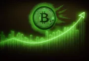 Waarom stijgt de Bitcoin prijs vandaag?
