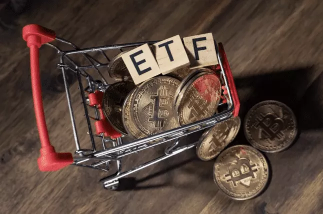 Bitwise kondigt een seedfonds van 200 miljoen dollar aan voor Spot Bitcoin ETF; Solana & Borroe Finance trekken een stroom van nieuwe investeerders aan