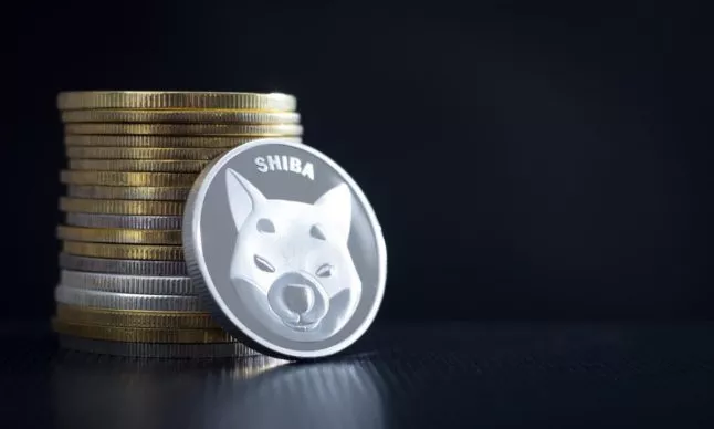 Shiba Inu-rivaal Dogwifhat begint aan Bull Run; Opkomende plek van Crypto Eyes Chainlink