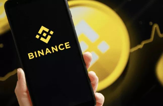 Binance Burnt Tokens, Prijsstijging op Komst? LINK en Nieuw Presale-project Zien Aanzienlijke Groei