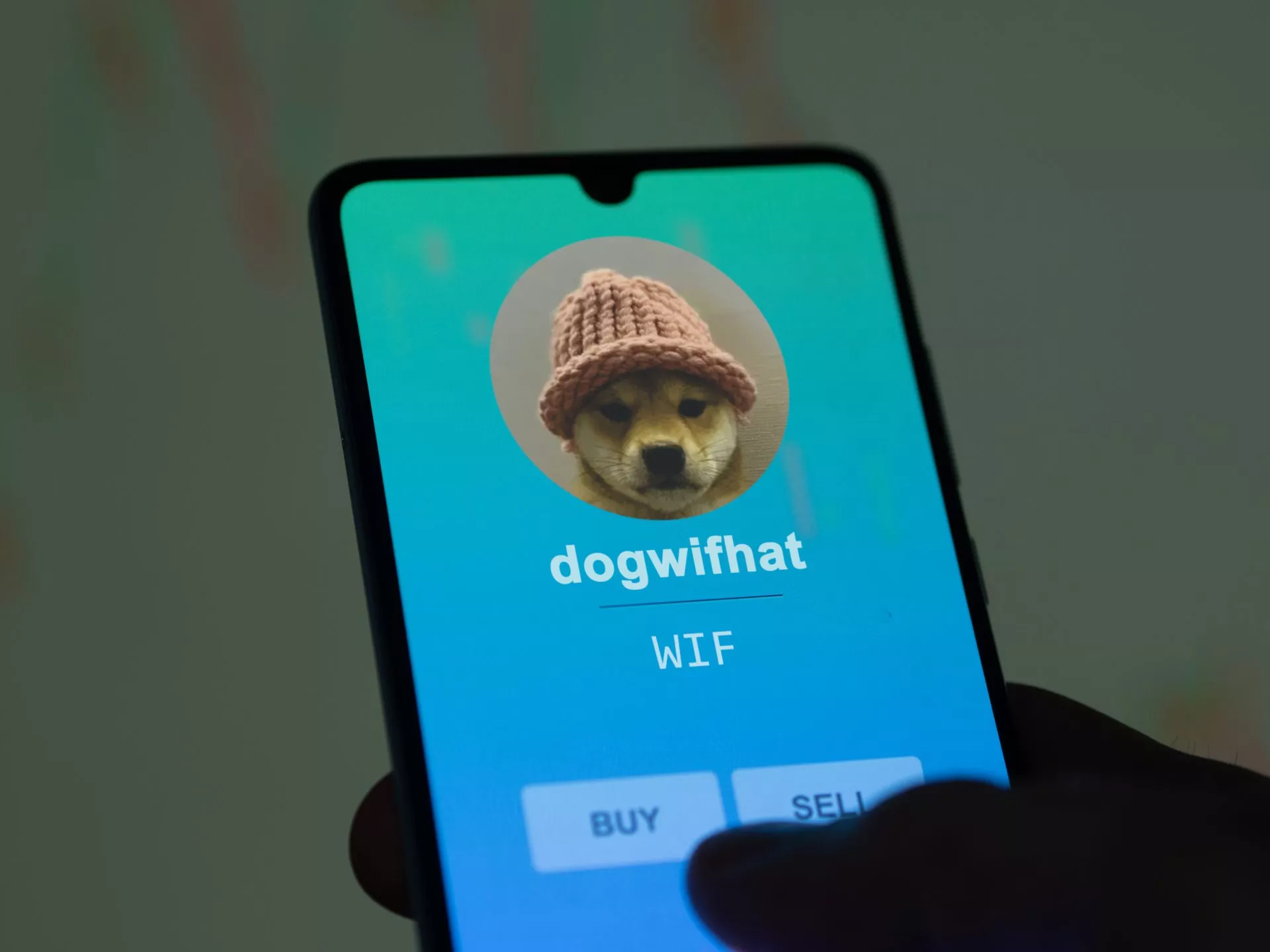 dogwifhat