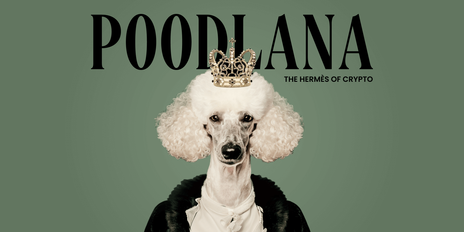 poodlana