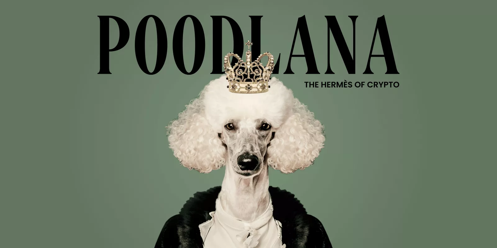 poodlana