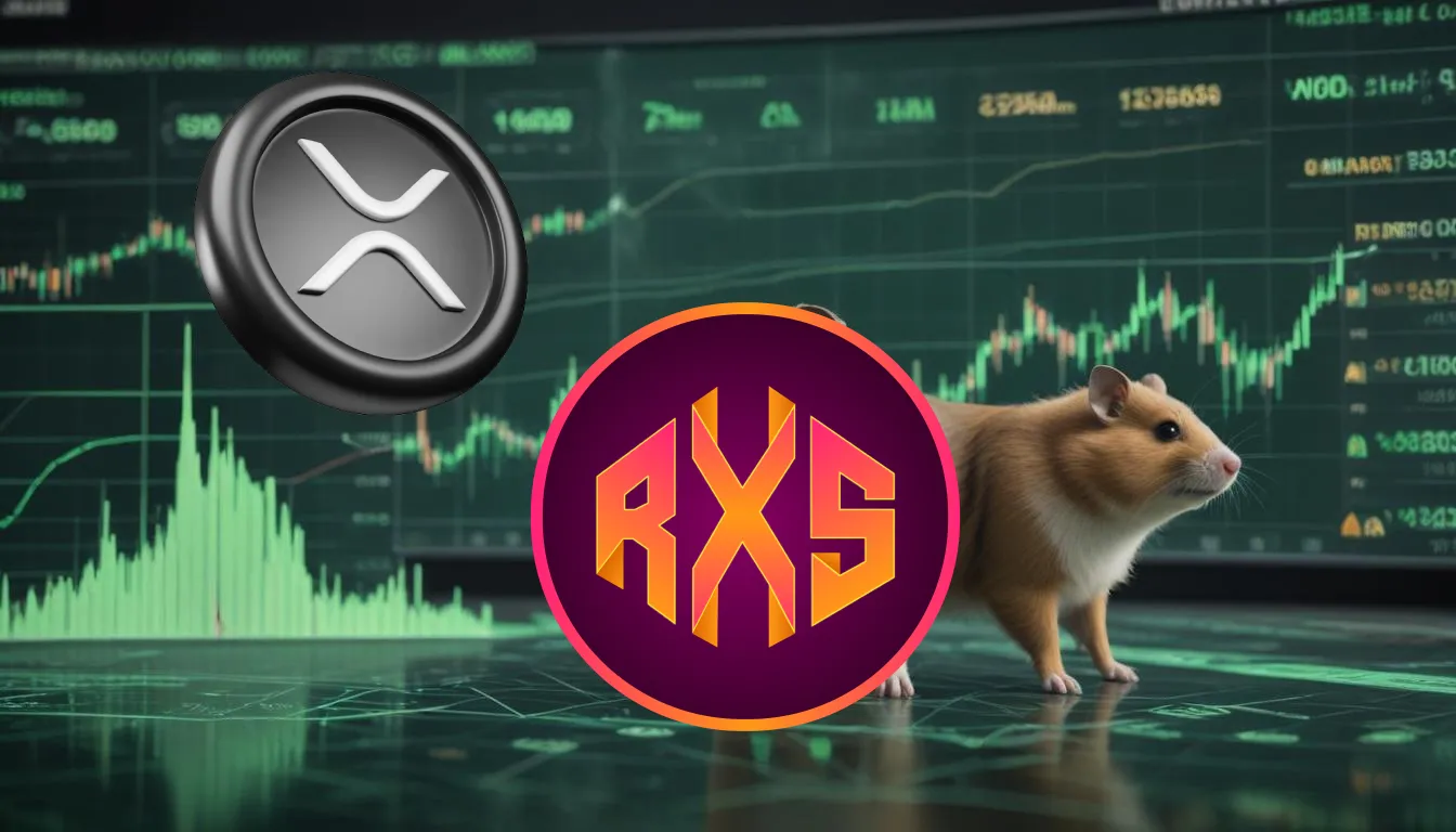 Rexas Finance