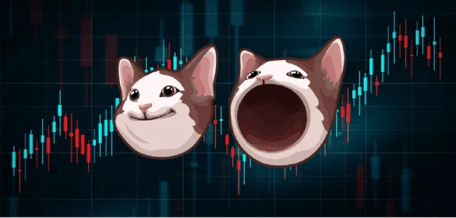 Memecoin PopCat stijgt met 58% in vier dagen: Marktkapitalisatie bijna $2 miljard