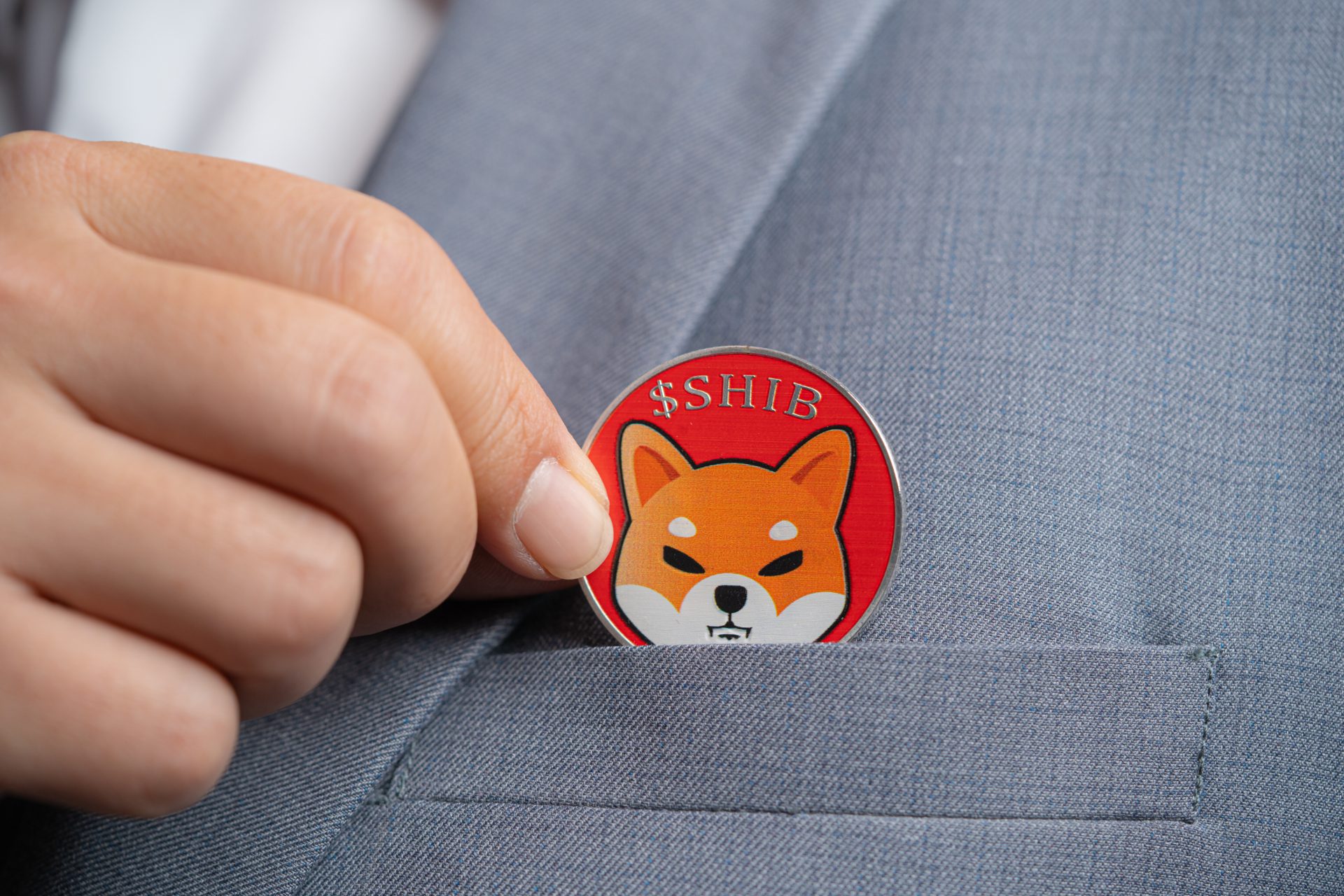 shib, shiba inu. shiba, memecoin