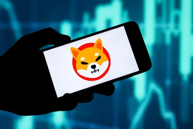 Shiba Inu koers stijgt 14% in een dag: Is een extra stijging van 180% mogelijk?