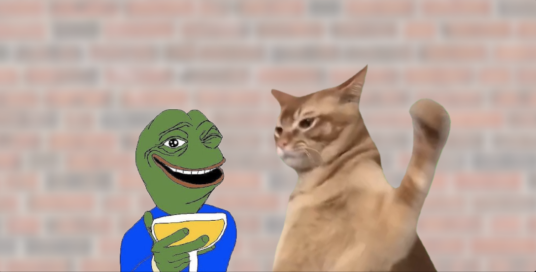 CatSlap (SLAP)