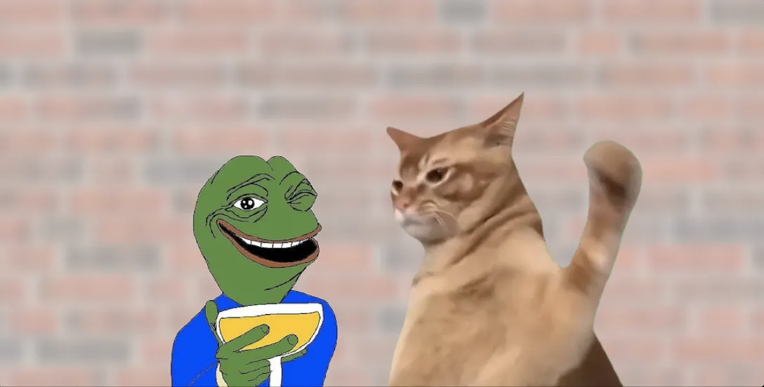 CatSlap (SLAP)